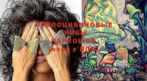 первитин Алексин